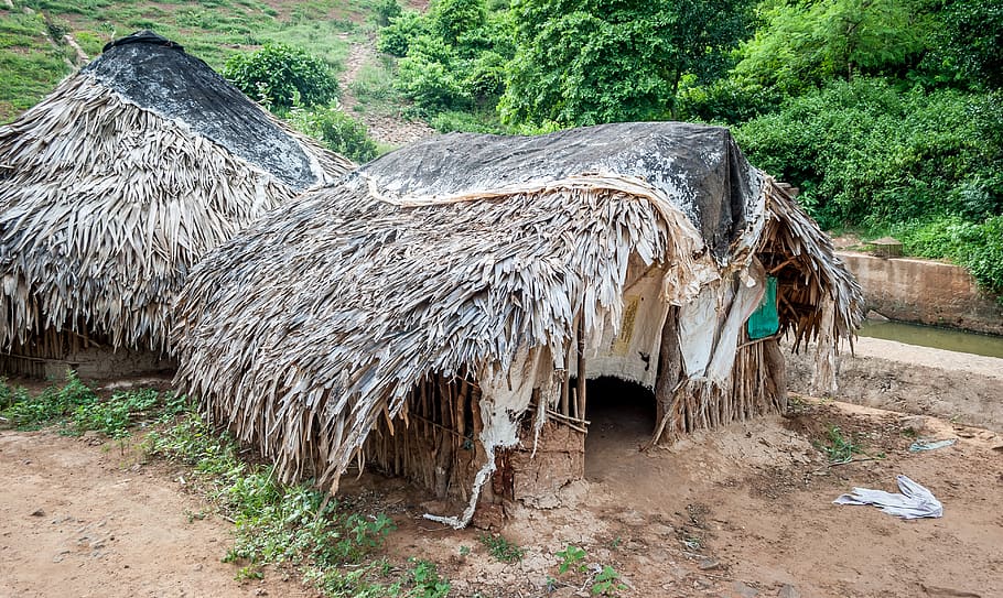 tribal, hut, india, village, ethnic, thatched, traditional