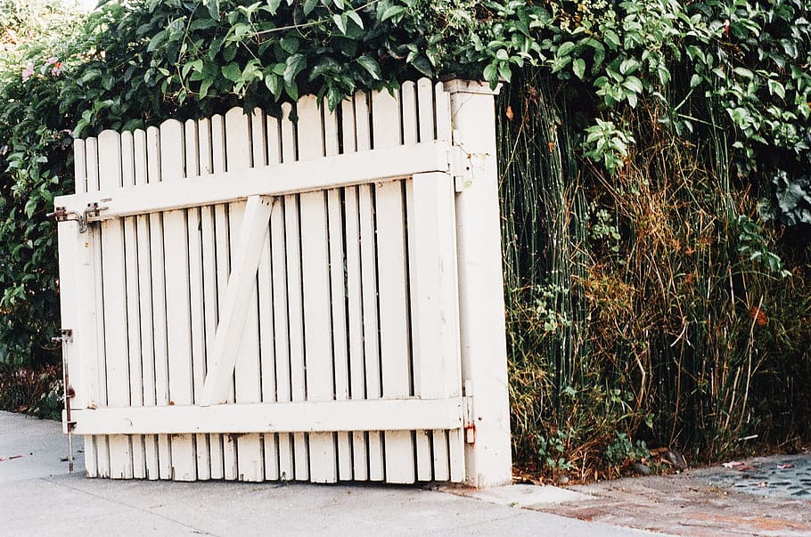 opened white wooden gate beside green plants, fence, vines HD wallpaper