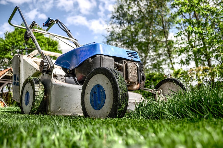 low angle photography gray and blue push mower, lawnmower, gardening, HD wallpaper