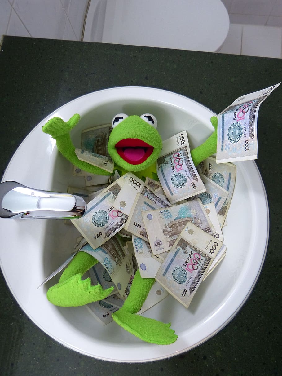 Kermit the Frog on sink covered with 1000 banknotes, money, swim