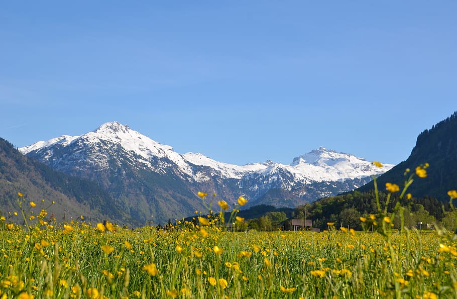 hiking, alpine, landscape, switzerland, tourism, glarus, mountains