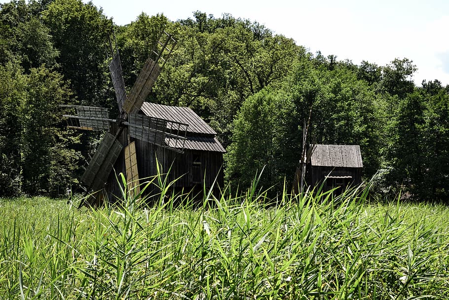 windmill, traditional, old, wood - Material, rural Scene, nature HD wallpaper