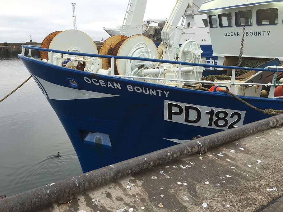 fish market, peterhead, nautical vessel, transportation, water HD wallpaper