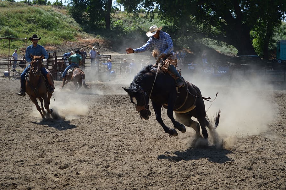 cowboy wearing blue flannel riding horse, cowboys, talahi, jump, HD wallpaper