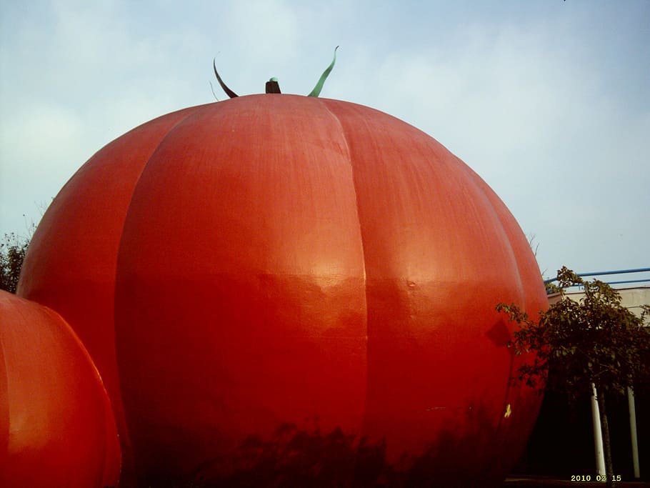tomato, red, food, model, no people, sky, nature, plant, day HD wallpaper