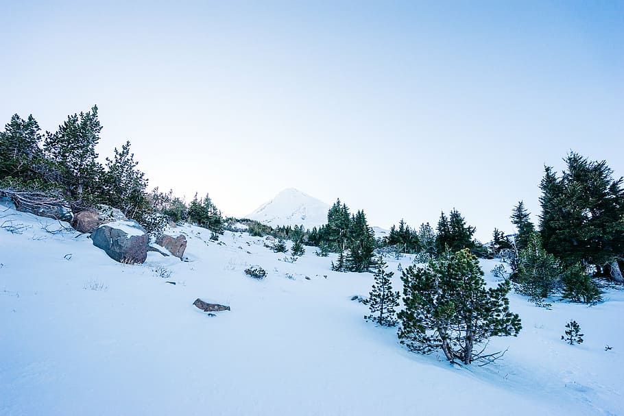 snowy mountain with trees during daytime, landscape, photography HD wallpaper