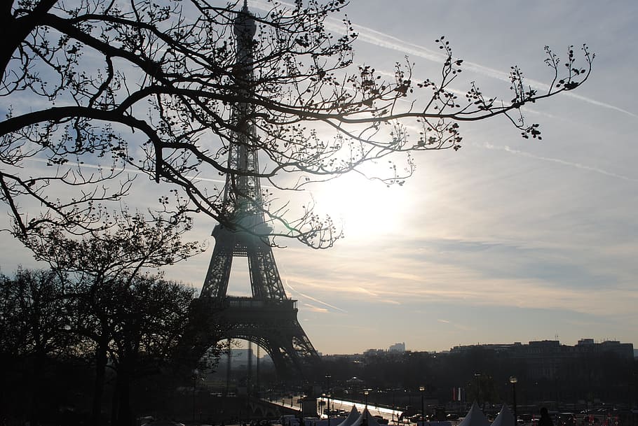 Eiffel tower, Paris, tree, city, building, landscape, summer HD wallpaper