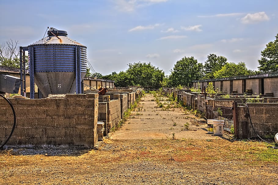 pig farm, barn, barns, rustic, art, digital art, artistic, textured HD wallpaper