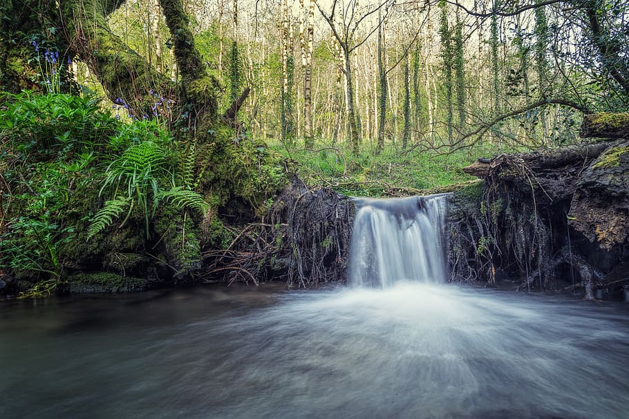 waterfall, river, nature, forest, macro, landscape, close up HD wallpaper