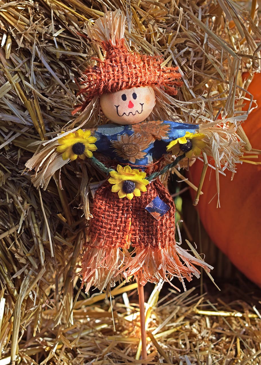 Scarecrow, Autumn, Fall, Hay, Decoration, straw, holiday, seasonal HD wallpaper