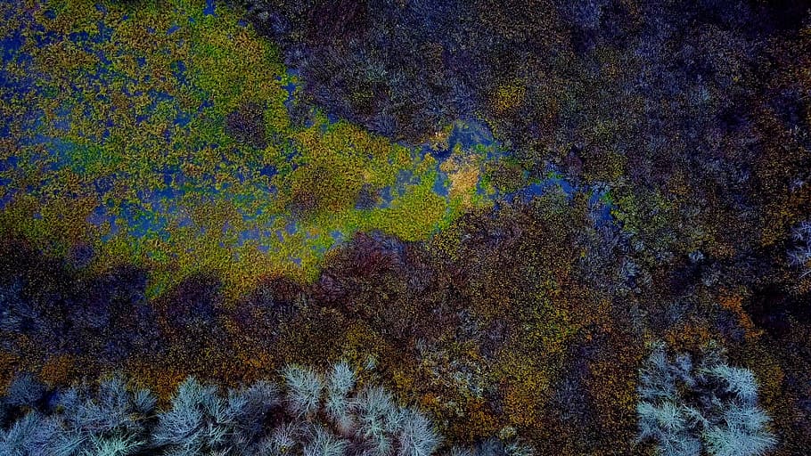 green, blue, and brown mat, untitled, Jade, Wetlands, drone view HD wallpaper