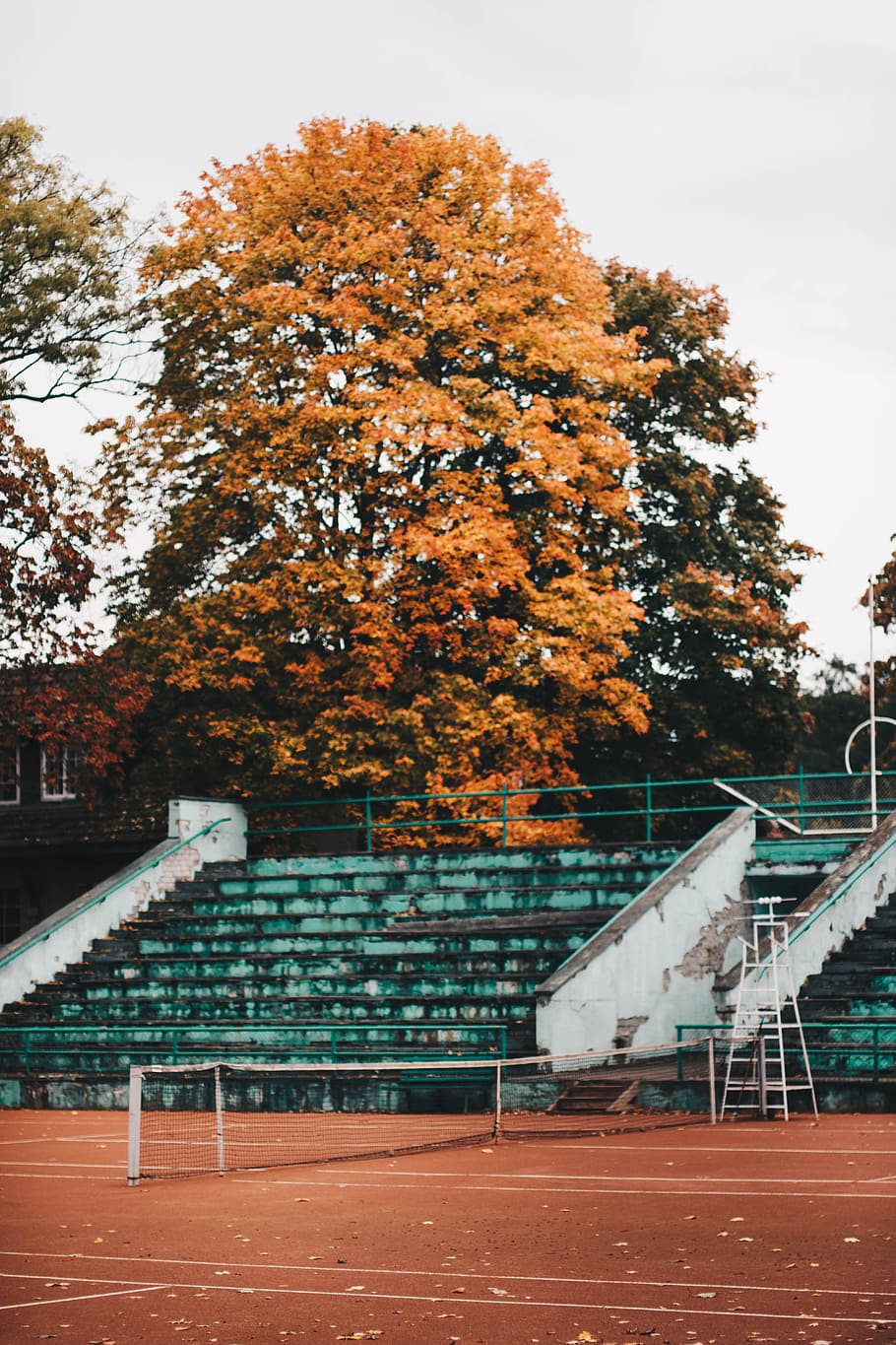 Empty Green and White Concrete Bleachers Near Brown Leaf Tree at Daytime HD wallpaper