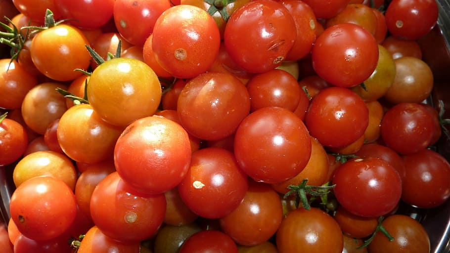 tomatoes, cherry tomatoes, vegetables, food and drink, healthy eating HD wallpaper