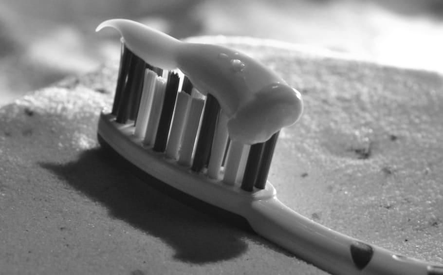 grayscale photo of toothbrush with toothpaste, close, up, eating utensil HD wallpaper