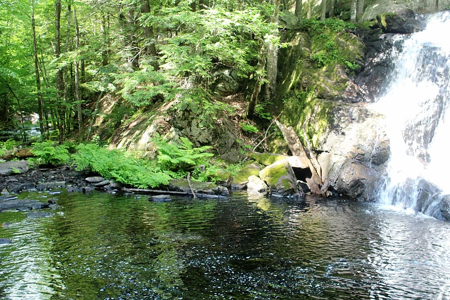 green, water, waterfall, plant, tree, beauty in nature, waterfront HD wallpaper