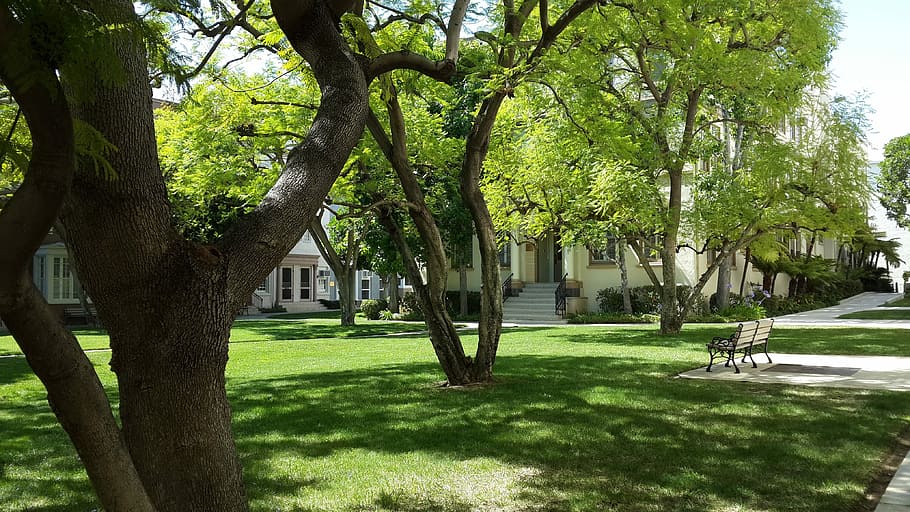 Paramount Pictures, Trees, us, landscape, greenery, background HD wallpaper