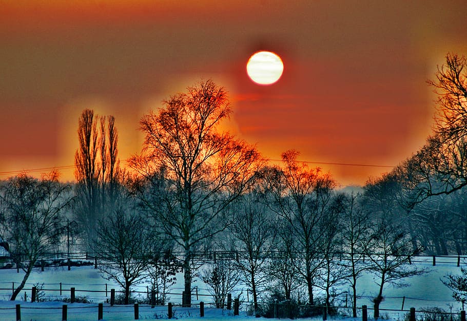 abendstimmung, romance, sky, tree, sunset, plant, beauty in nature HD wallpaper
