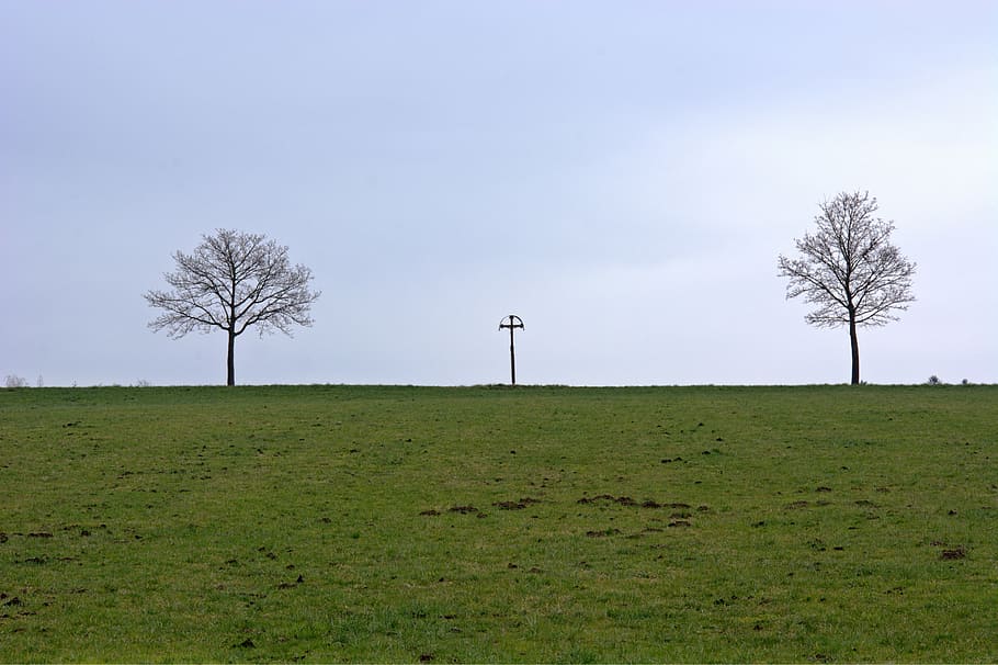 horizon, distant, wide, meadow, pasture, trees, cross, mood HD wallpaper