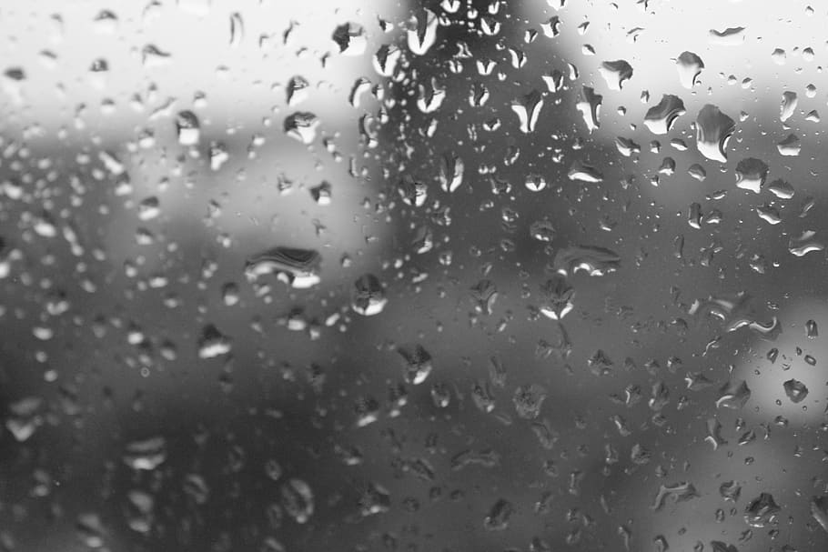 raindrop, drip, water, wet, black and white, glass, glass - material HD wallpaper