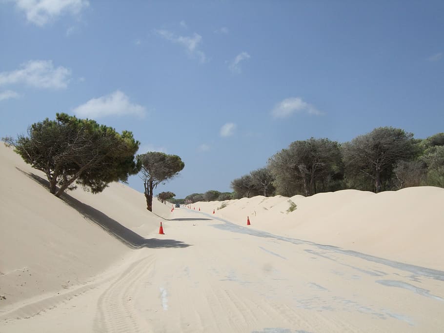 sand, road, nature, tree, plant, sky, land, day, cloud - sky HD wallpaper
