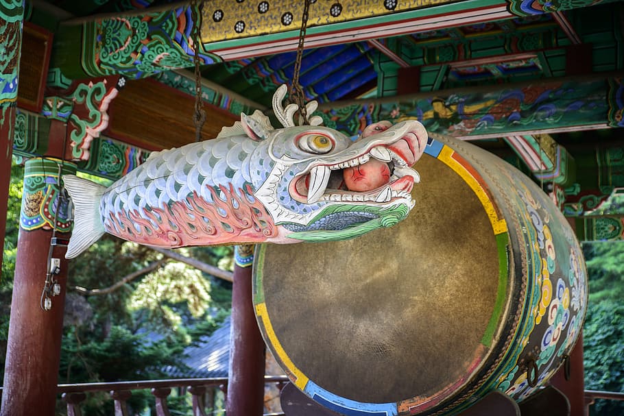 law and, temple, north, fish, republic of korea, traditional HD wallpaper