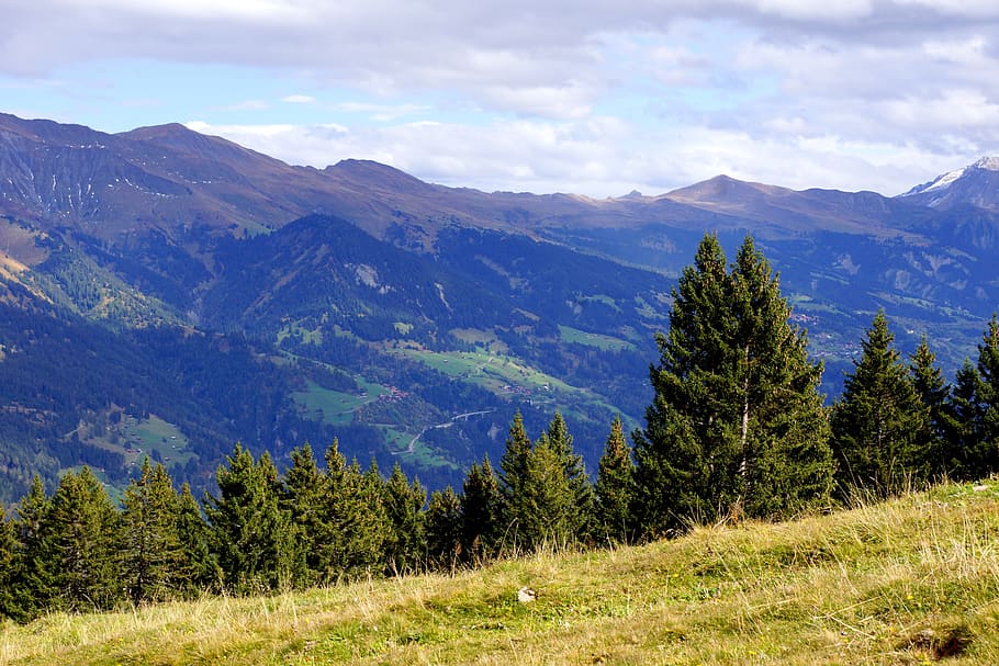 green leafed trees, mountians, view, alps, highlands, range HD wallpaper