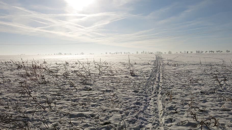 trace, cold, wintry, sky pattern, light blue, gone with the wind HD wallpaper