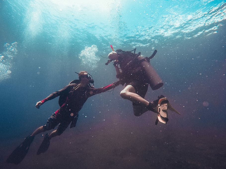 two person swimming underwater, diver teaching his student under the body of water