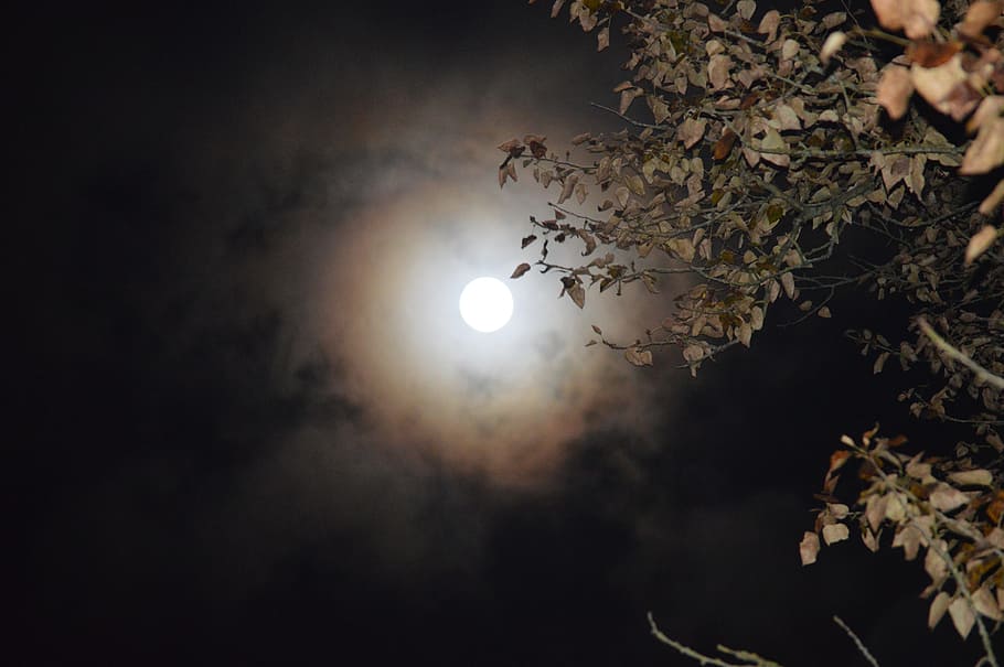 photo of full moon, night, dark, sky, nature, calm, moonlight