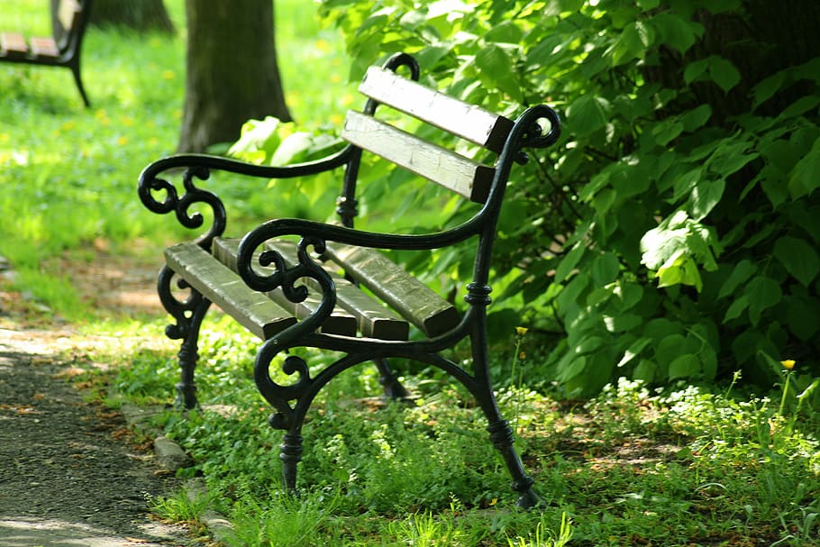 gray and black bench near green plant, park, spacer, spring HD wallpaper