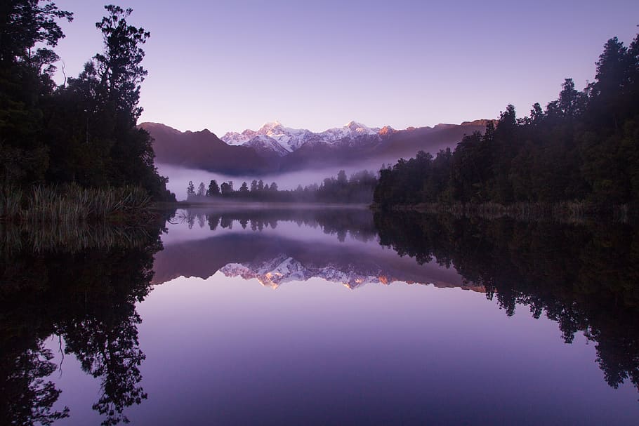 photo of lake near trees, Morning Fog at Lake Matheson, purple HD wallpaper