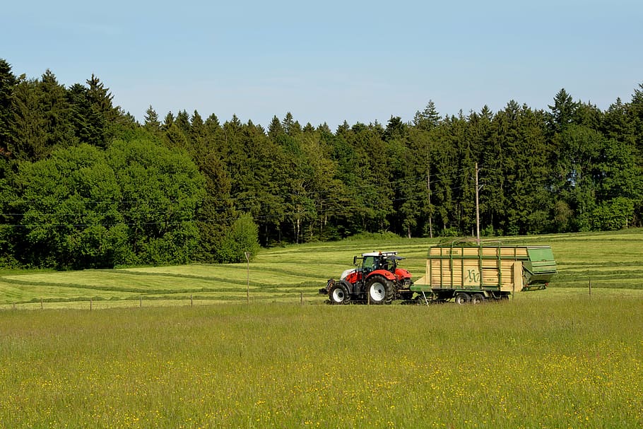 red farm tractor on green grass field during daytime, bauer HD wallpaper