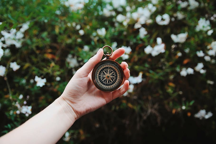 person holding compass, green, plants, flower, nature, blur, hand