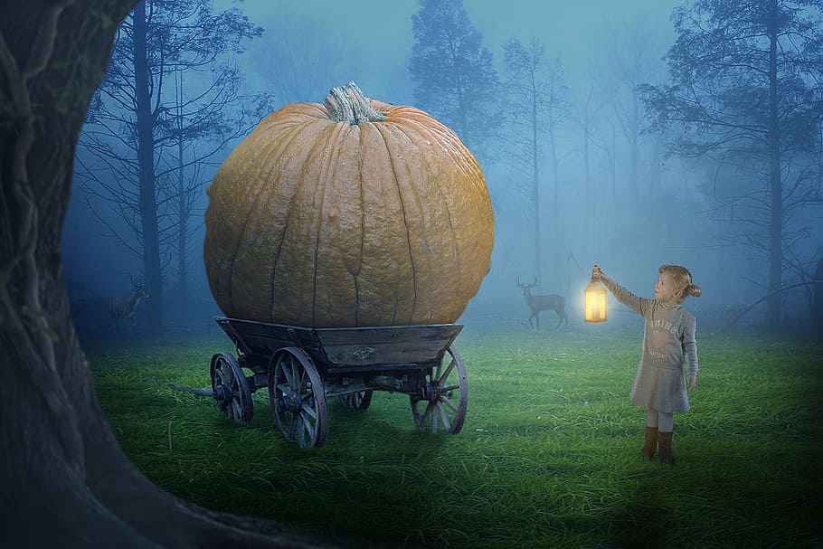 child in front of carriage illustration, panorama, nature, light HD wallpaper