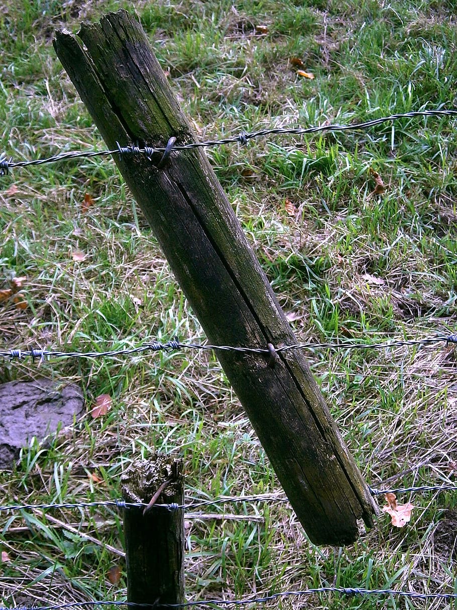 fence, post, wood, morsch, old, weathered, pile, piles, peg HD wallpaper