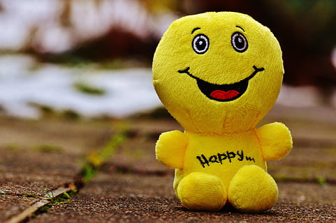 macro photo of yellow emoji plush toy, smiley, laugh, funny HD wallpaper
