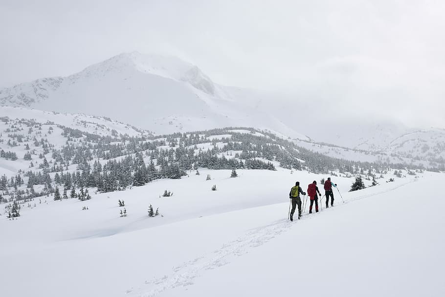 three people walking on snow, three persons hiking, landscape HD wallpaper