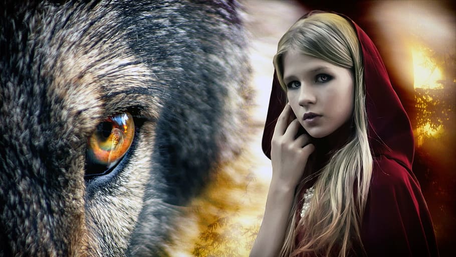 Little Red Riding Hood illustration, chaperone, wolf, forest HD wallpaper