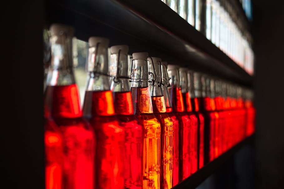 wine, bottles, red, indoors, in a row, close-up, refreshment HD wallpaper