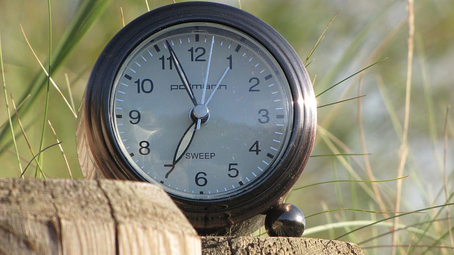 clock, time, nature, morning, stand up, sport, time of, time indicating HD wallpaper