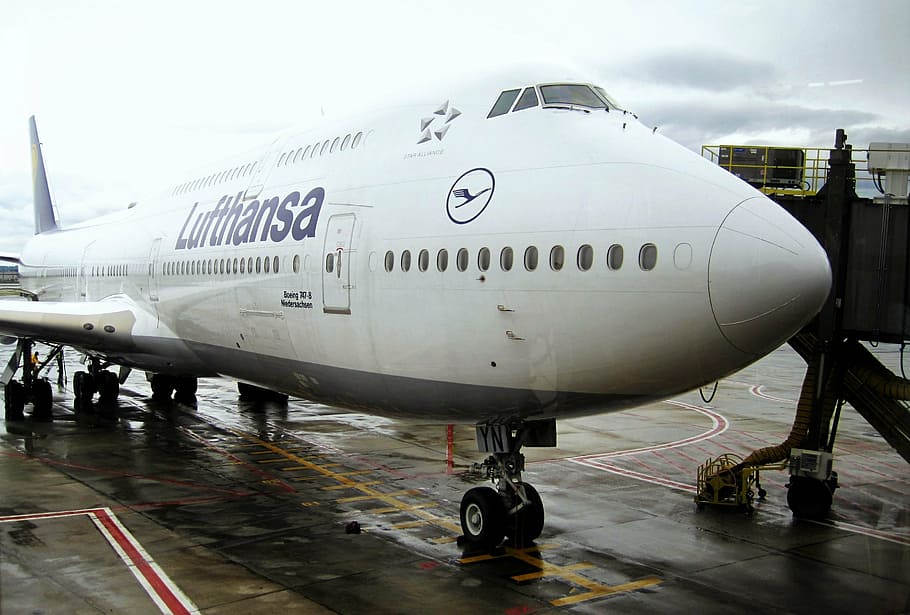 docked jumbo jet, lufthansa 747-830niedersachsen, boeing 747, HD wallpaper