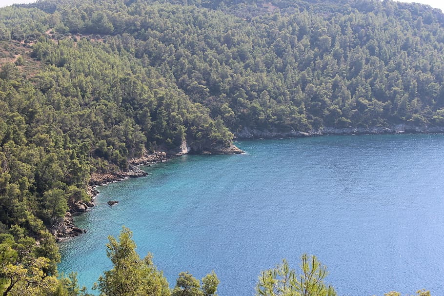 turkey, mugla, akbuk, nature, forest, marine, put it in the HD wallpaper