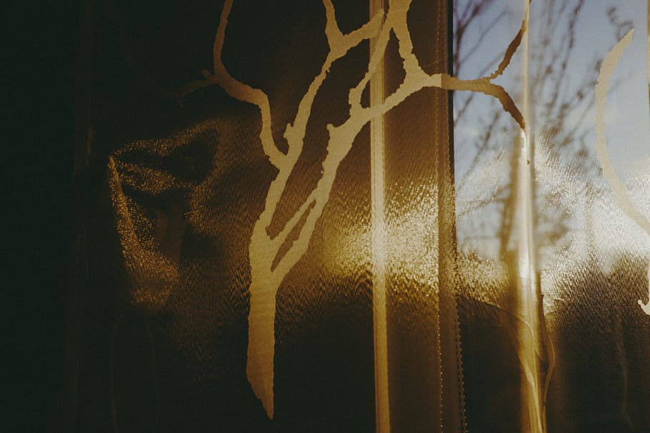 Morning sunlight on the curtains, abstract, nature, tree, backgrounds HD wallpaper