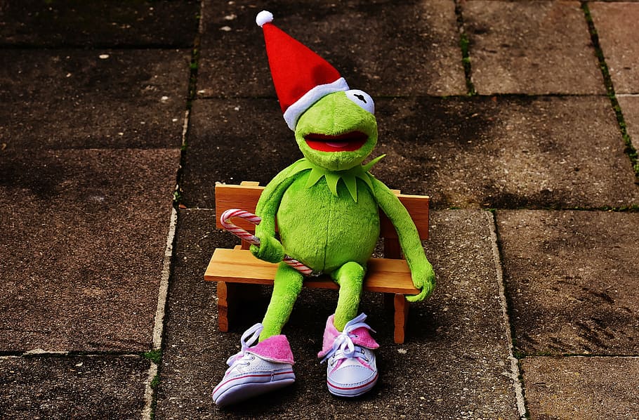 Page 3 Kermit The Frog 1080p 2k 4k 5k Hd Wallpapers Free Download Sort By Relevance Wallpaper Flare