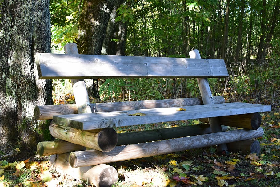 bank, forest, rustic, break, nature, bench, silent, bank seat HD wallpaper