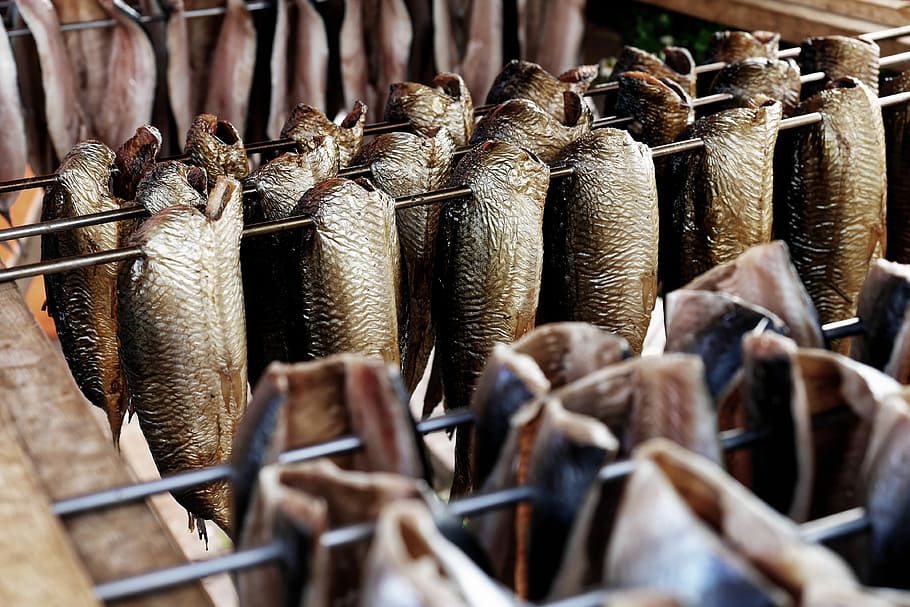 photo of skewered fish, dried fish on rack, eel, hanging, food HD wallpaper