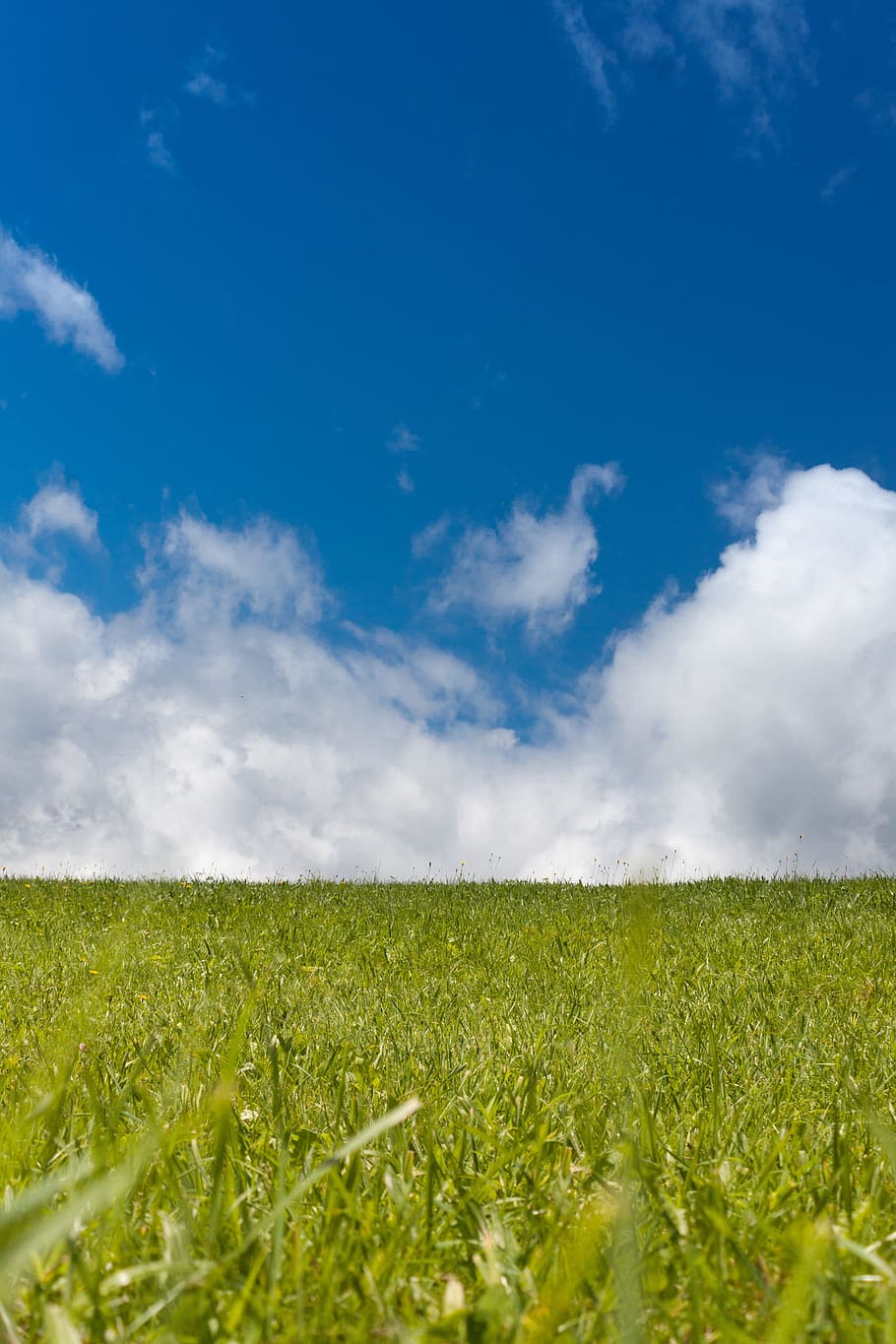 Landscape, Clouds, Grass, Blue, sky, green, agriculture, field HD wallpaper