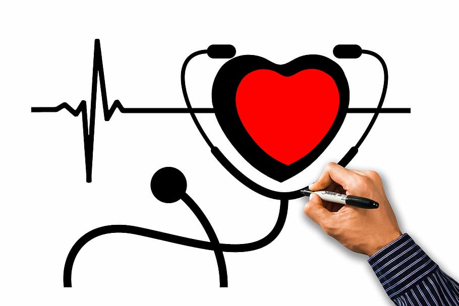 Heart With Stethoscope Medical Royalty Free Vector Image