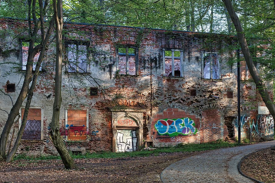 old, architecture, wood, tree, brick, built structure, graffiti HD wallpaper