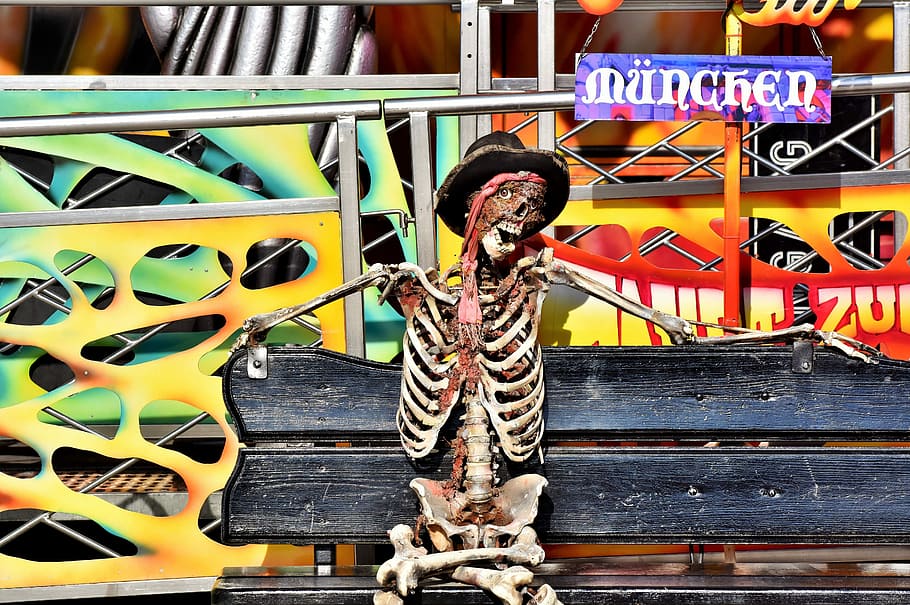 skeleton skull sitting on black wooden bench, bone, head, ghost train HD wallpaper